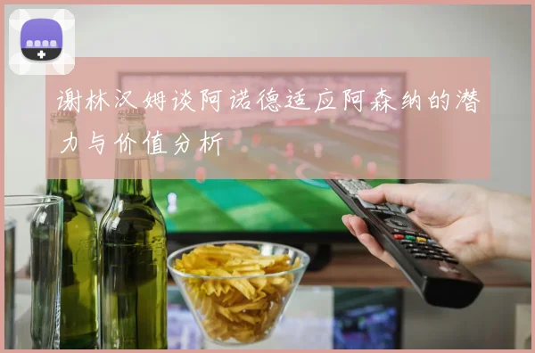 谢林汉姆谈阿诺德适应阿森纳的潜力与价值分析