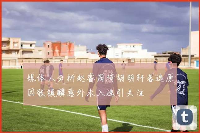 媒体人分析赵睿周琦胡明轩落选原因张镇麟意外未入选引关注